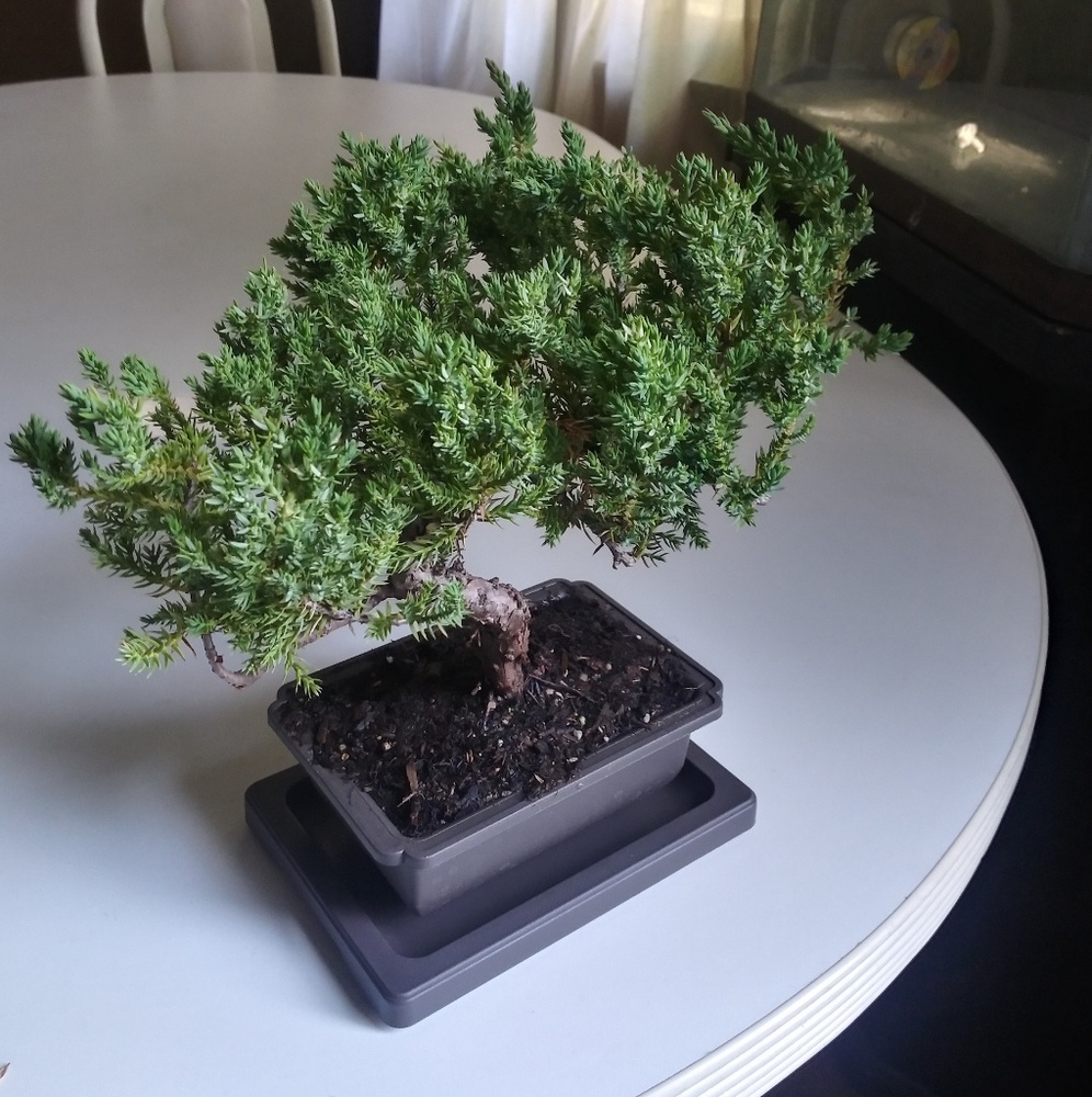 Meet your Posher, Dejuan